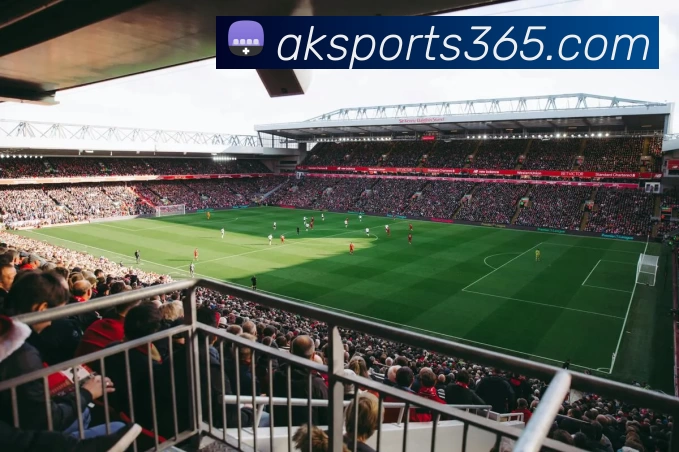 AK体育资讯平台生态图